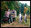 fall hayrides to the pumpkin patch